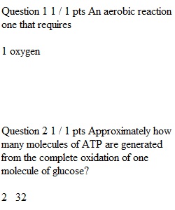 Chapter 7 Quiz